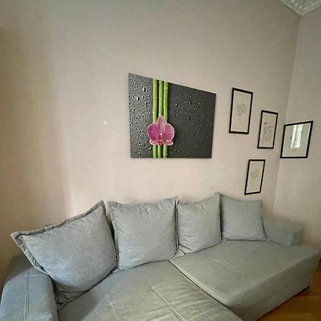 Gemutliche Wohnung Mit Super Lage 비엔나 외부 사진