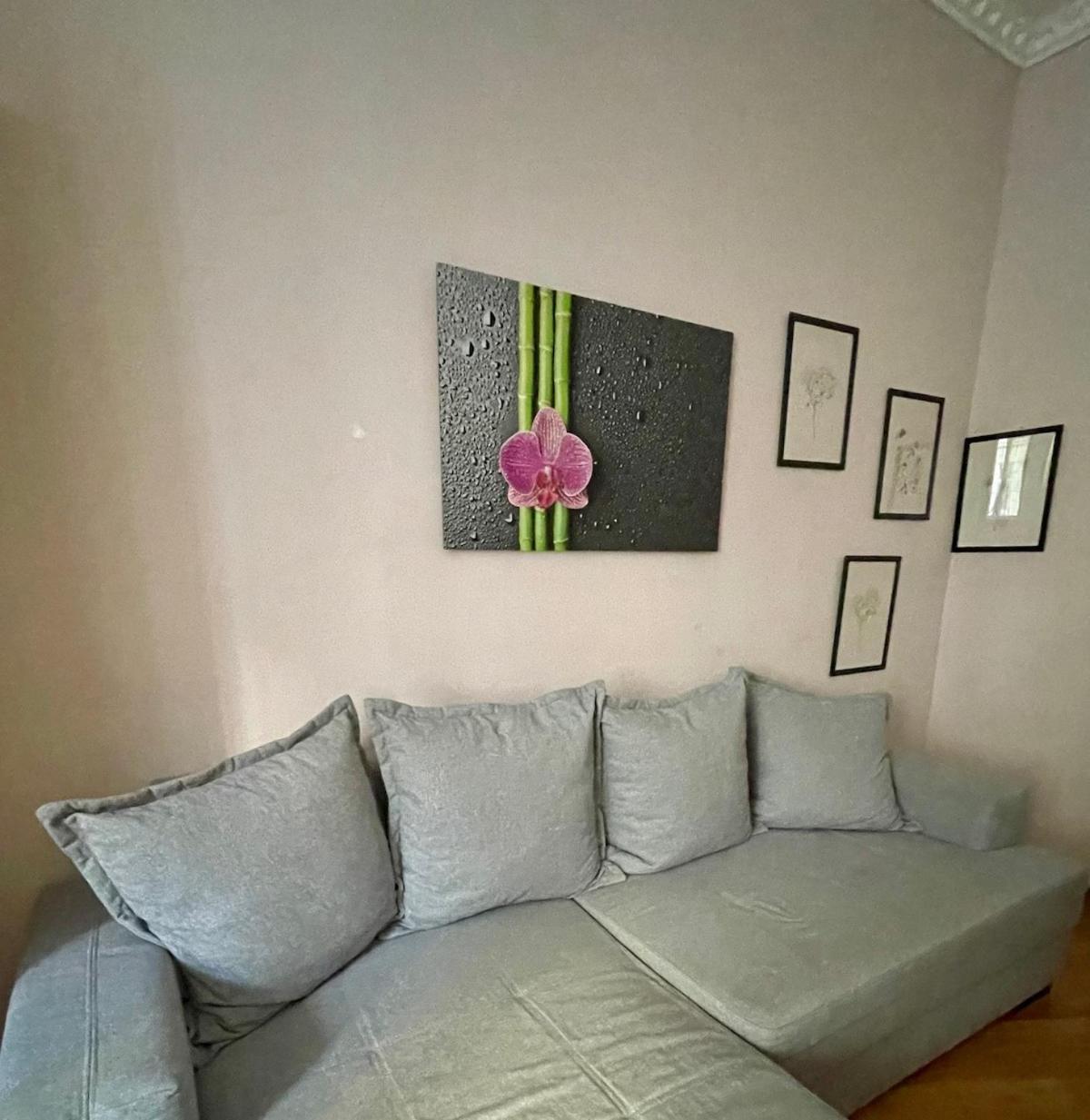 Gemutliche Wohnung Mit Super Lage 비엔나 외부 사진